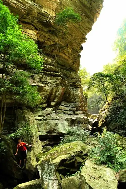 拍摄地点: 丹江口市浪河白杨坪  拍摄时间: 2014-08-21  作品