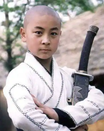 从"少林寺"走出来的明星,有人收获百亿票房,有人陷入低谷_电影_王宝强