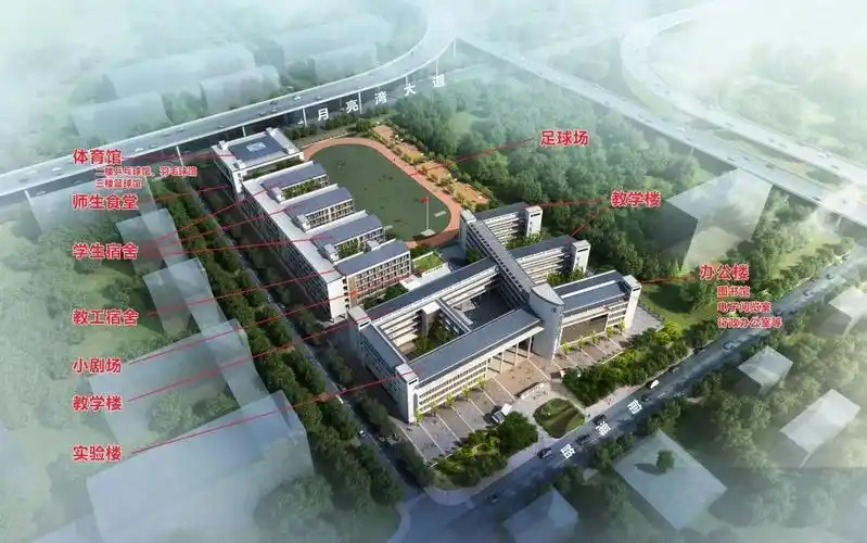 这所大学附中了解一下_深大附中