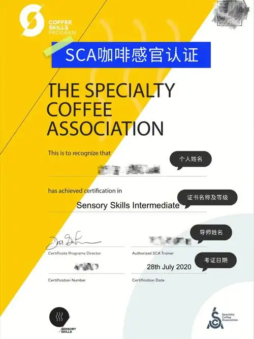咖啡师考证证书介绍|品鉴咖啡看这里📖