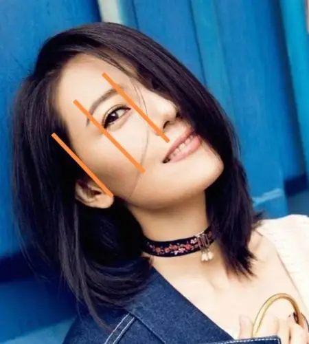 骨相篇之二:颧骨,颧弓与苹果肌(内附明星对比图.