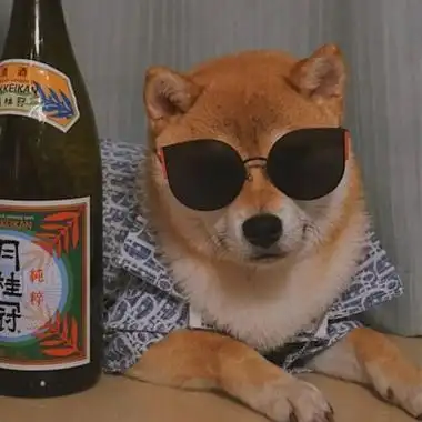 2022笑死人的搞笑狗狗头像,狗戴墨镜搞怪吧