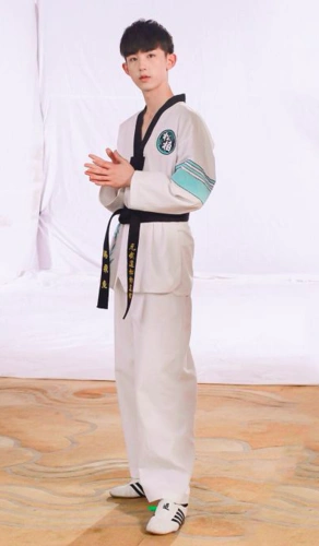 郭俊辰跆拳道造型2