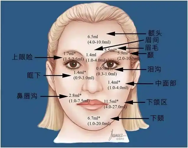 面部不同区域脂肪注射量的数据有限,而且不同方法以及不同解剖结构都