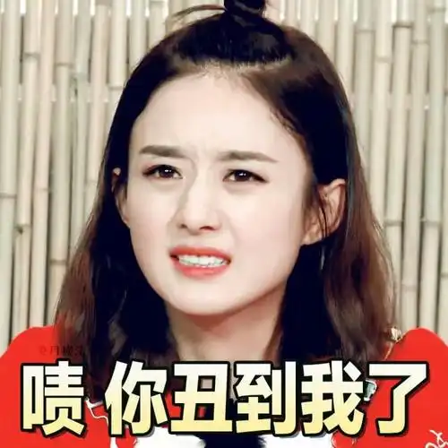 丽颖. 赵丽颖. 她的圆脸. 她的一双眸. 她的一撇一笑.