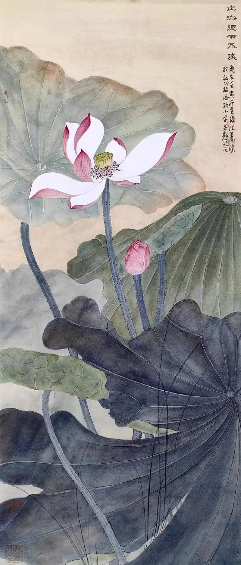 工笔画#荷花   参加烟台市师生迎春画展 《荷》步骤图 # - 抖音