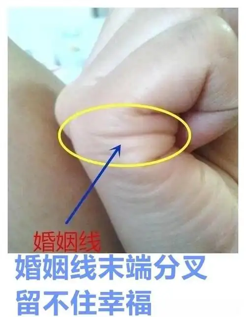 手相:有此"掌中宝",钱财不断有钱人,断掌天纹穿透,必是二婚