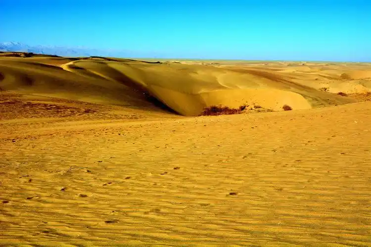 【格尔木胡杨林之沙漠风光摄影图片】青海格尔木风光摄影_太平洋电脑