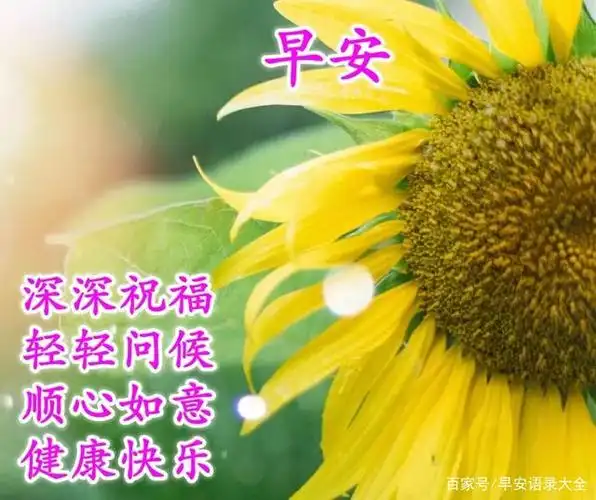 2021年6月9日星期三早上好问候语温馨图片 周三最新早安问候图片