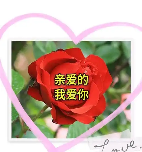 亲爱的我爱你朝思暮想的你一直都在我心里