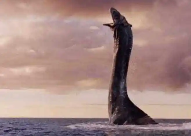 许多游客都目睹了它的英姿,当然长白山天池水怪的照片视频也不少,但是