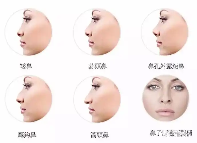 看鼻子准确预测你的事业运势