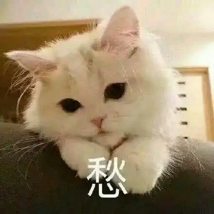 萌宠gif猫星人gif愁gif难受gif呆萌gif可爱gif