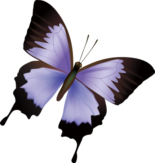 蝴蝶素材图片大全