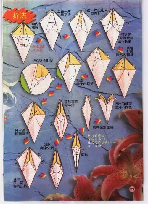 折百合花详细图解加上步骤