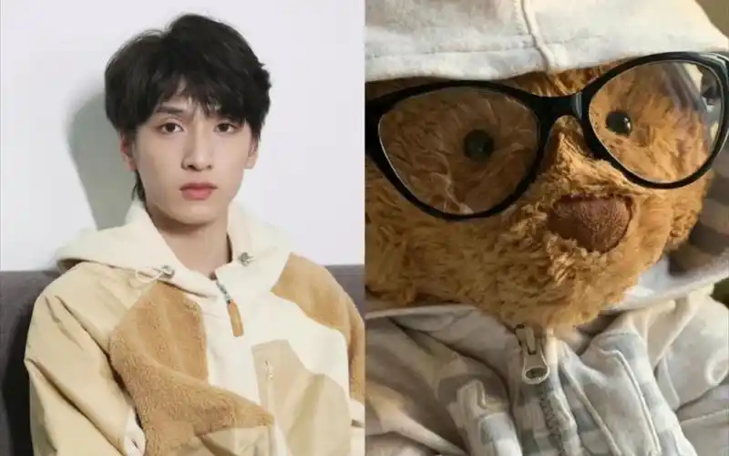 (严浩翔)从小到大的小熊娃娃(再来一遍小熊软糖颜如画,财阀气场一米八