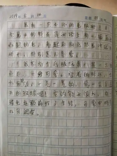 马语茉暑期日记30篇