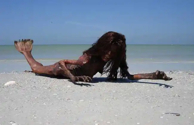 黑鳞鲛人即传说中的美人鱼,世界上已经有很多人发现人鱼的尸骨了,美国