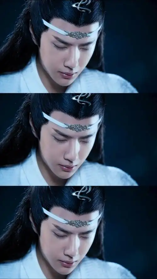 陈情令蓝忘机问灵十三载等一不归人