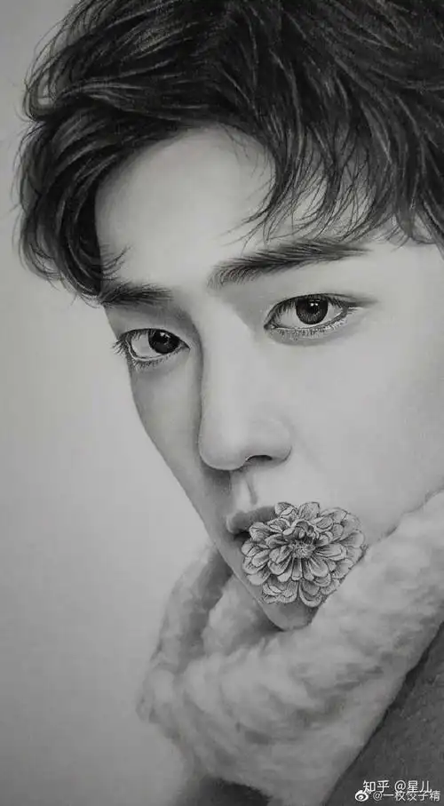 肖战手绘素描图片