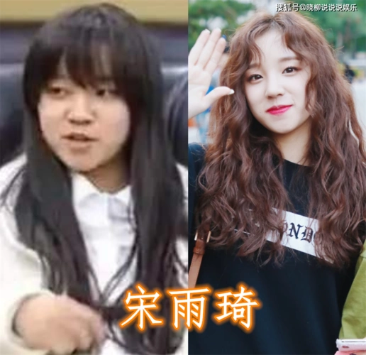 "胖时嫌她丑,瘦了成颜狗",宋茜程潇不算啥,看到宋雨琦:求秘籍