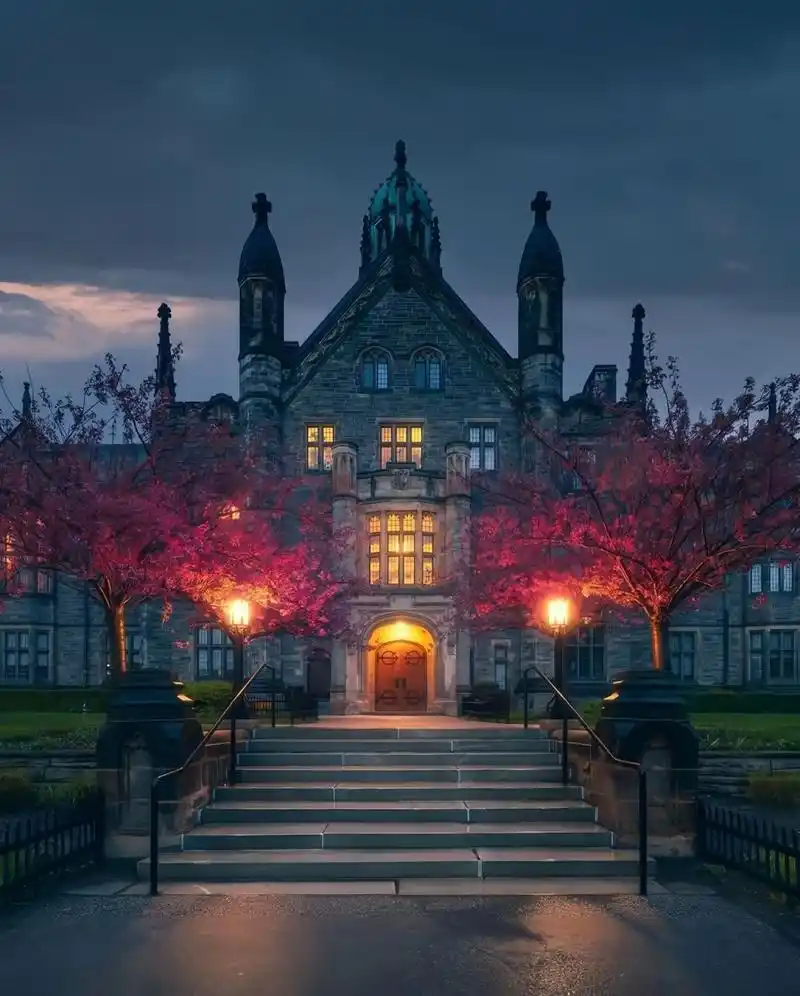 多伦多大学校园风光91