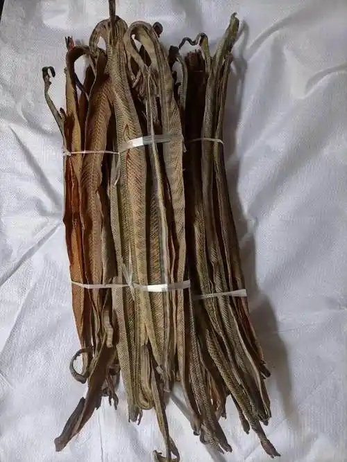 清热利湿,解毒消肿,抗癌.