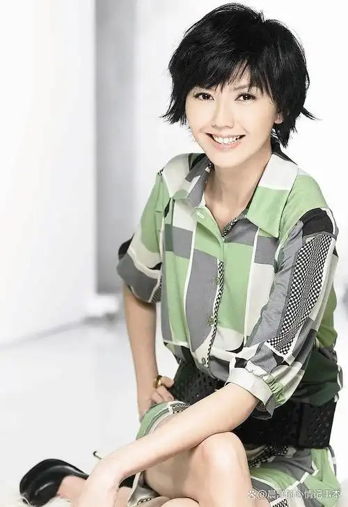 晨洋的音乐日记:有一种流行音乐叫孙燕姿