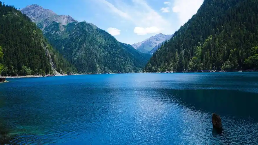 原创9月1日到30日,三生肖进入财运巅峰,好运不断,福气满满,升职加薪