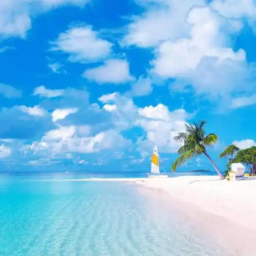 蓝天海边海滩风景头像图片