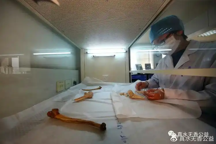 女法医的苦有谁懂