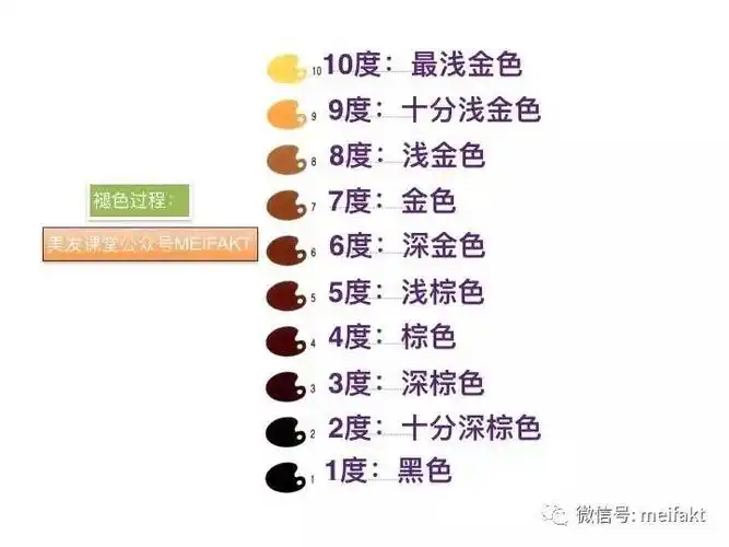 健康发质一步到漂色到9度的技巧