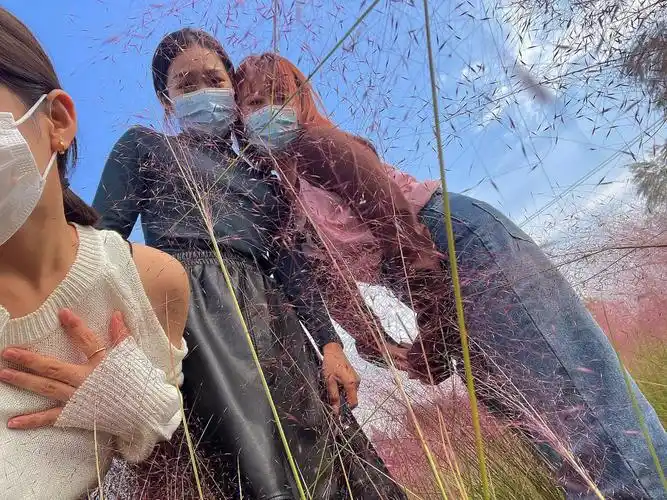 新乐木刀沟生态湿地公园