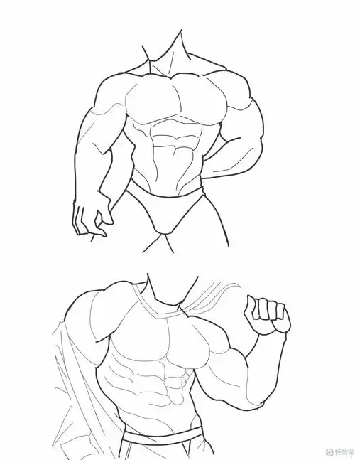 临摹男性肌肉—角色人物肌肉绘画训练 举报