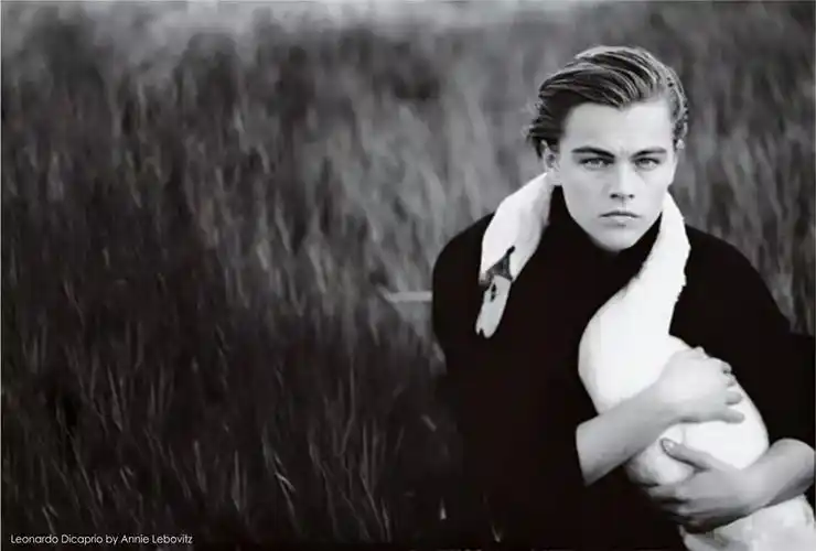 莱昂纳多 - 堆糖,美图壁纸兴趣社区