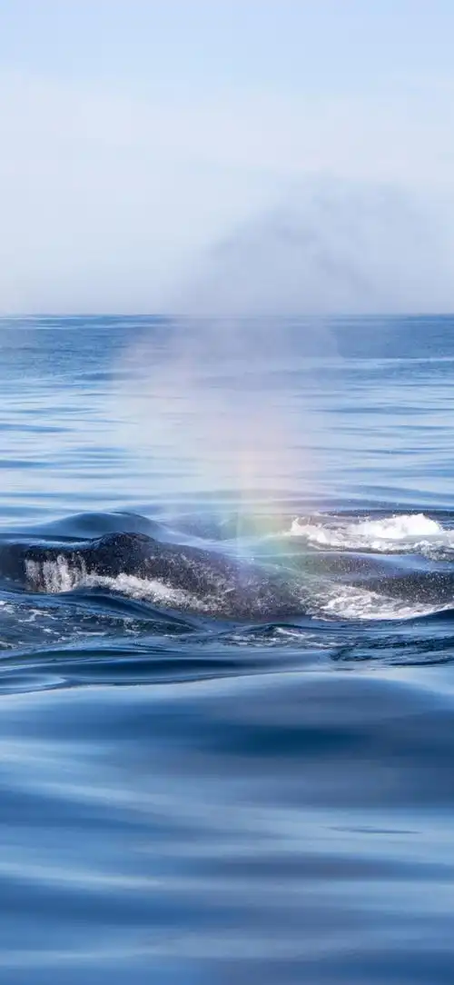 新知达人, 4k壁纸原图:能把男朋友气疯的致命必杀技