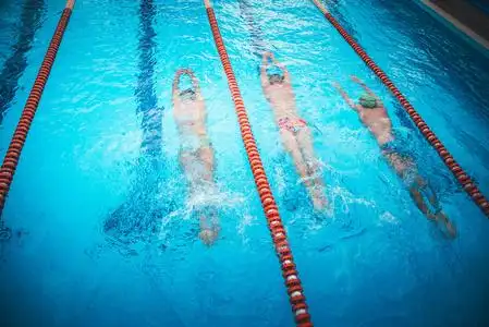 全能生活三项全能运动员,穿着泳衣在蓝色的游泳池里游泳.专业培训照片