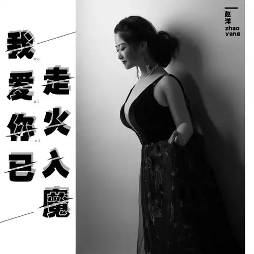 赵洋我爱你已走火入魔