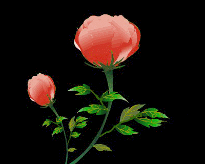 400_320gif 动态图 动图