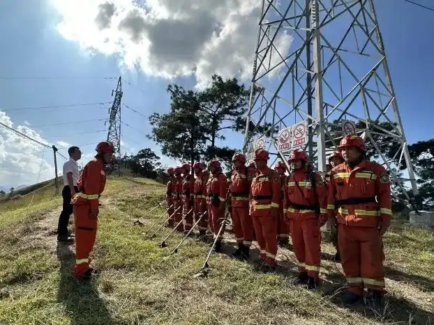 东区开设森林防火隔离带织牢森林防火安全网
