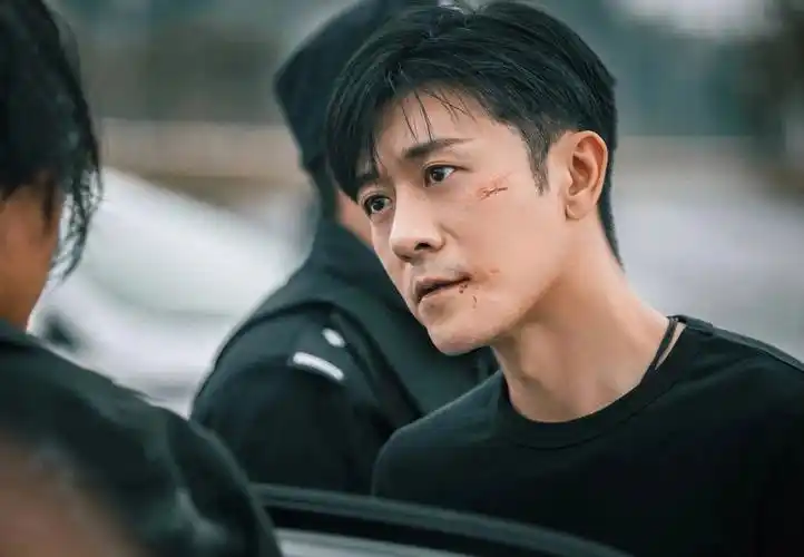 咱就是说不喜欢小鲜肉 纯纯的就是喜欢演技派电视剧类型例如警察 缉毒