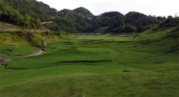 白杨坪乡人民政府公众信息网