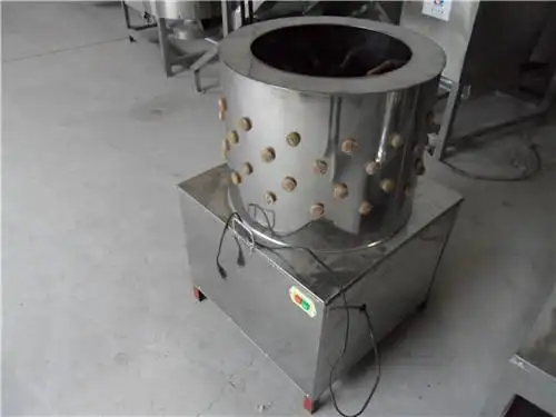 家禽脱羽毛机价格