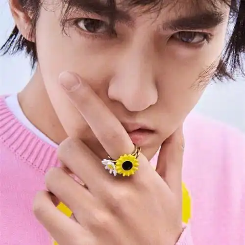 一折雏菊戒指_吴亦凡新款雏菊花戒指 网红百搭时尚ins情侣潮流饰品
