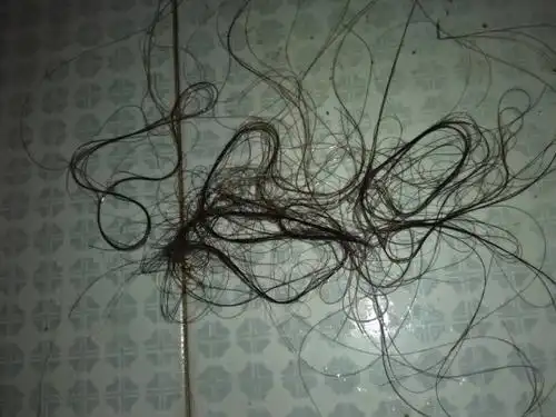 每次洗头都掉很多头发.以前从来没有过.已经一个月了.掉的越来越多.