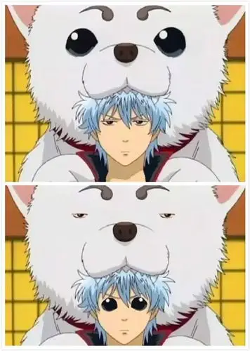 1/ 12 《夏目友人帐》 夏目&老师 《黑执事》 塞巴斯蒂&夏尔 《银魂》