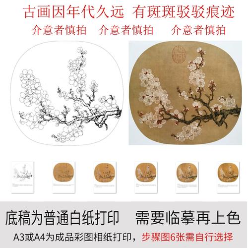 有步骤图工笔画打印白描底稿宋画赵昌杏花图初学者临摹勾线练习