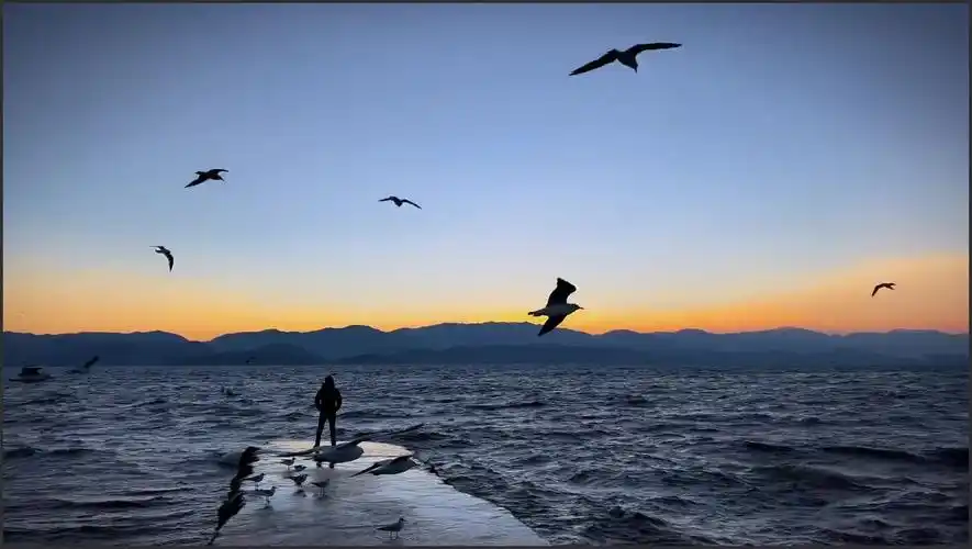 一个人看海是几级孤独#大理洱海