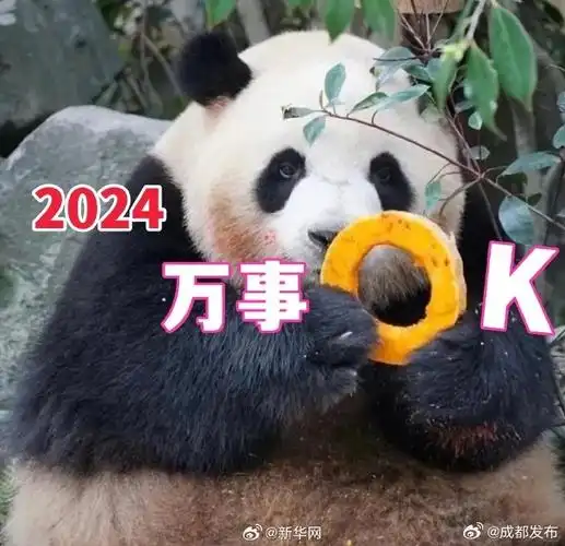 【晚安时间】#跨年#2024年即将"果赖",你的新年表情包准备好了吗?