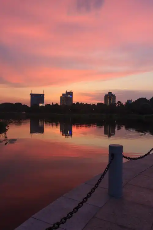 7.31 湿地公园 傍晚 晚霞